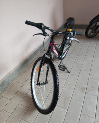 bicicletta 