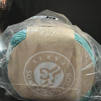 TELO UFFICIALE FINALE ROLAND-GARROS