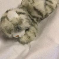 Peluches gatto Trudi