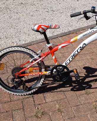 Bicicletta bambino marca Frera