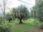 Immagine 12