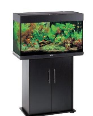 Acquario JUWEL RIO 125