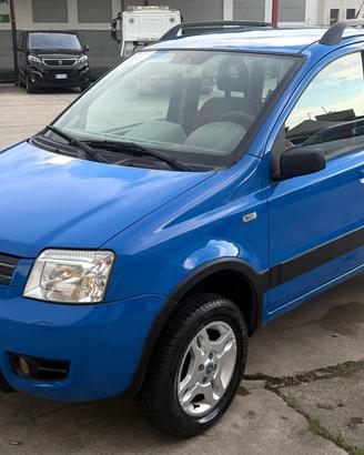 Fiat Panda 1.3 MJT 70CV 4x4 DA AMATORE
