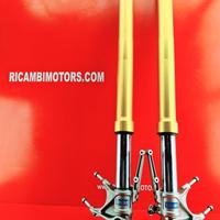 PIASTRE FORCELLE DUCATI MULTISTRADA 1200