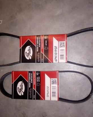 Cinghie servizio GATES (NUOVE)