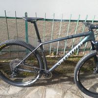 mountain bike specialized