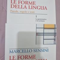 libri scolastici superiori