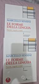 libri scolastici superiori