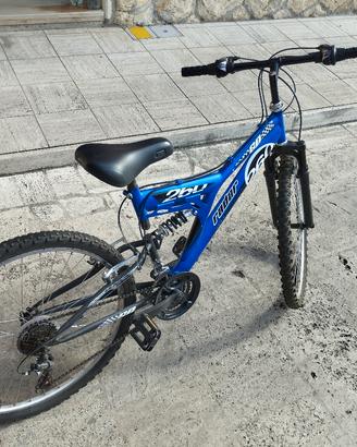 Mountain bike