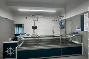 Attività pescheria