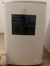Condizionatore Portatile Electrolux