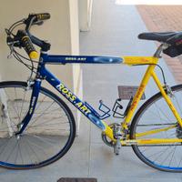 bici da corsa ross art