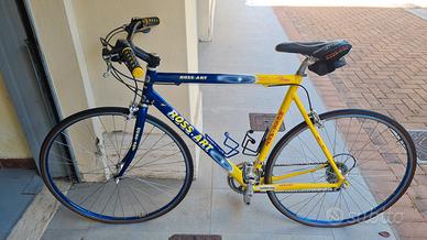 bici da corsa ross art