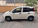 fiat-panda-1-3-mjt-s-s-pop-van-2-posti