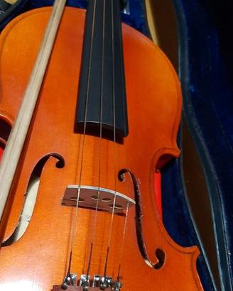 Violino