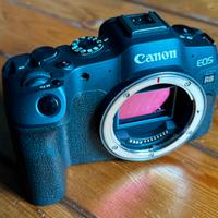 Canon R8 + RF 24-50