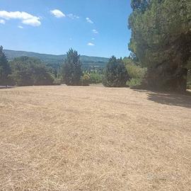 Terreno di 6820 m² a Sutri