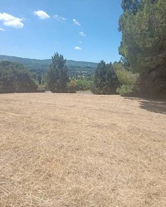 Terreno di 6820 m² a Sutri