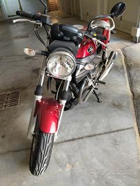 Moto Guzzi Breva in perfetto stato come nuov