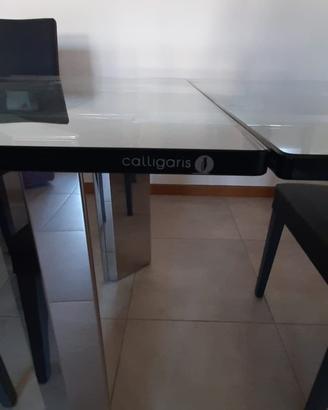 Tavolo e sedie Calligaris