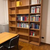 Libreria a parete fino a soffitto