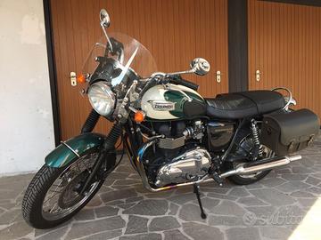 Splendida Bonnie T100