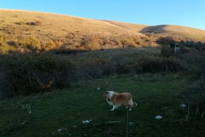 Terreno nel cuore del Parco del Monte Subasio Assi
