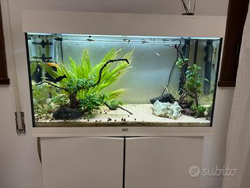 Acquario juwel rio 125