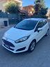 ford-fiesta-gpl-anno-2013-full-perfetta