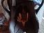 Immagine 3