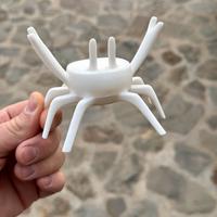 Granchio Portamestolo