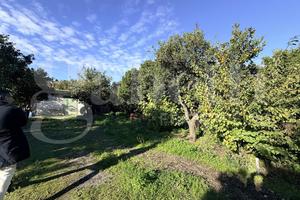 Terreno Agricolo Sant'Egidio del Monte Albino