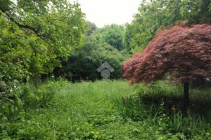 TER. RESIDENZIALE A TAVERNERIO