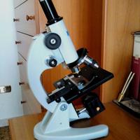 Microscopio