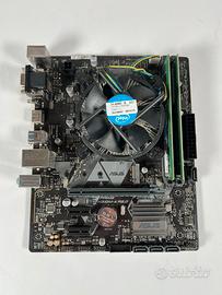 Scheda Madre ASUS + CPU e RAM