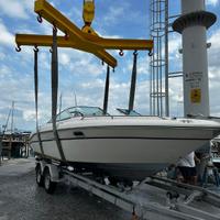 Sea Ray 220