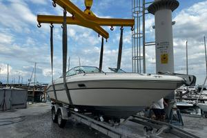 Sea Ray 220