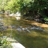 Ex mulino del 1400 terreno 3 ha da ristrutturare