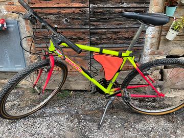 Mountain Bike Adriatica