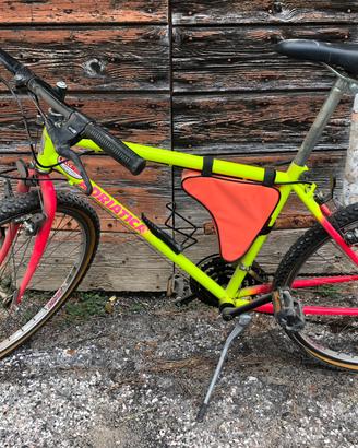 Mountain Bike Adriatica