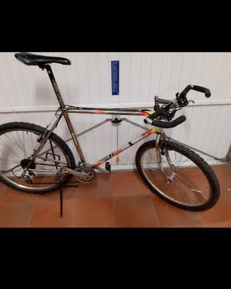 Mountain bike usata