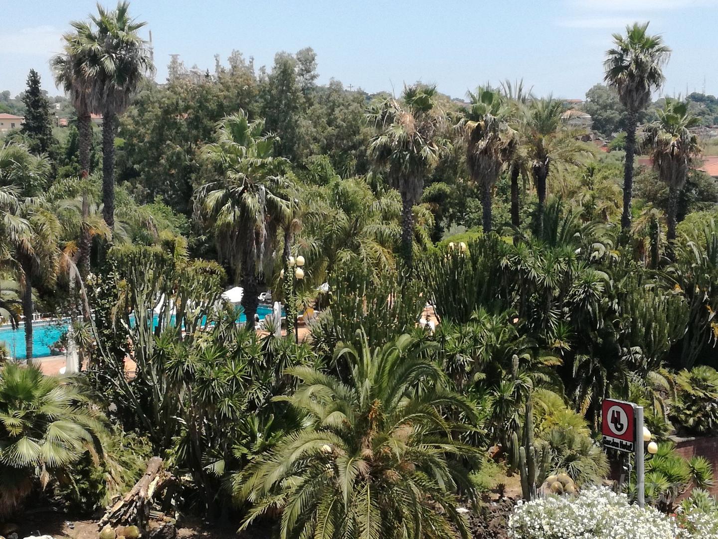 Appartamento – San Gregorio di Catania, Catania - Altro