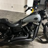 Street Bob 2010