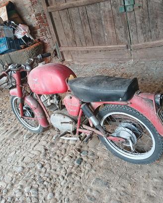 moto guzzi 500 sport  