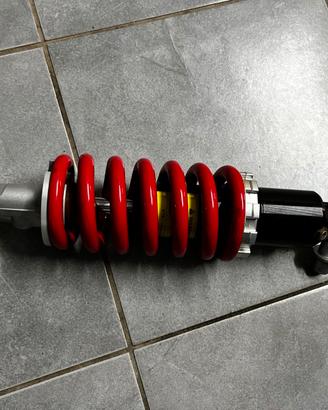 Mono Aprilia RS 660