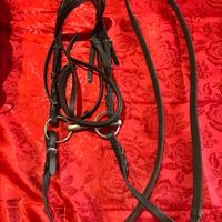 Testiera pony