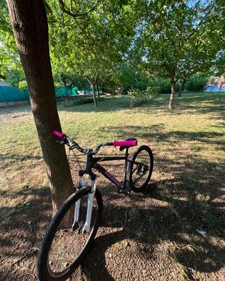 Bici rockrider st520