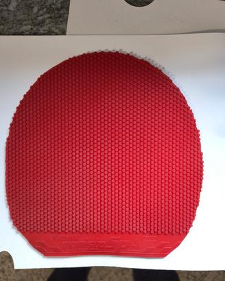 Gomma Tennistavolo Nittaku Moristo SP