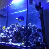 Acquario Marino