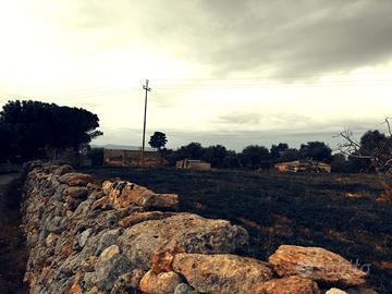 San francesco